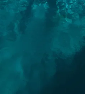 Šuoliai į vandenį suaugusiems