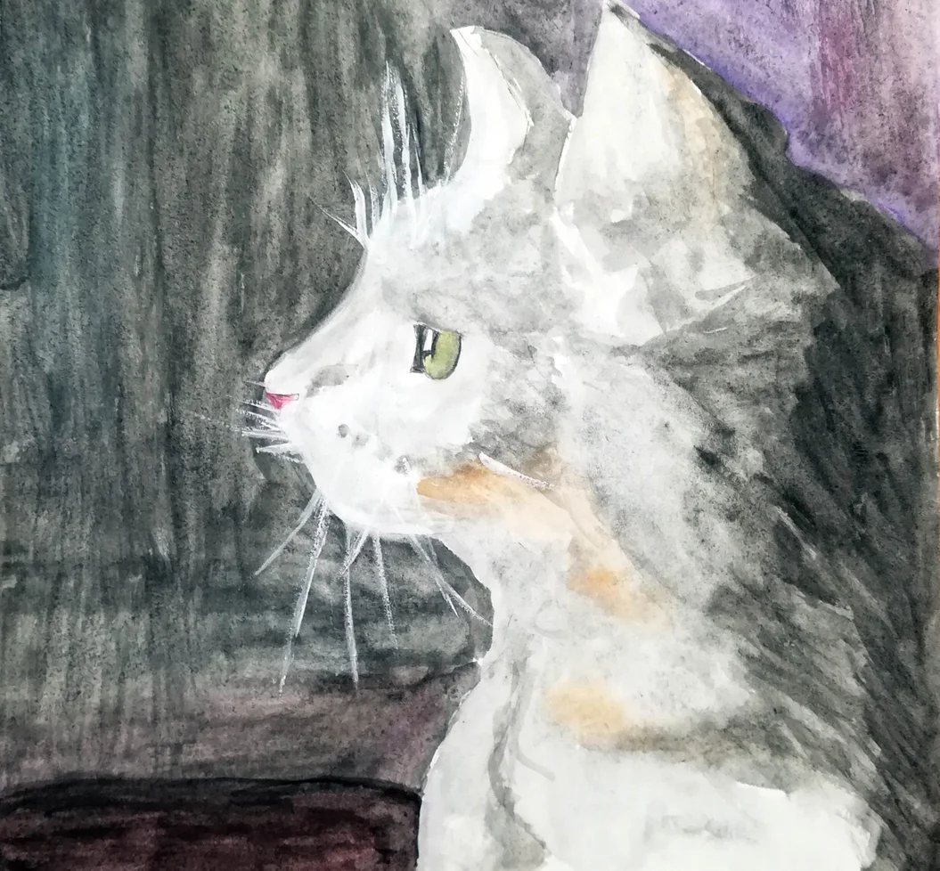 Stovykla „Meno džiunglės“ (2024 m. liepa, rugpjūtis, 10.00–14.00 val. / 8–12 m.)