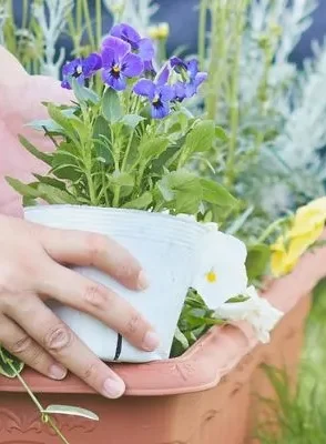 Pavasario florarumo dirbtuvės šemai - sodina gėles