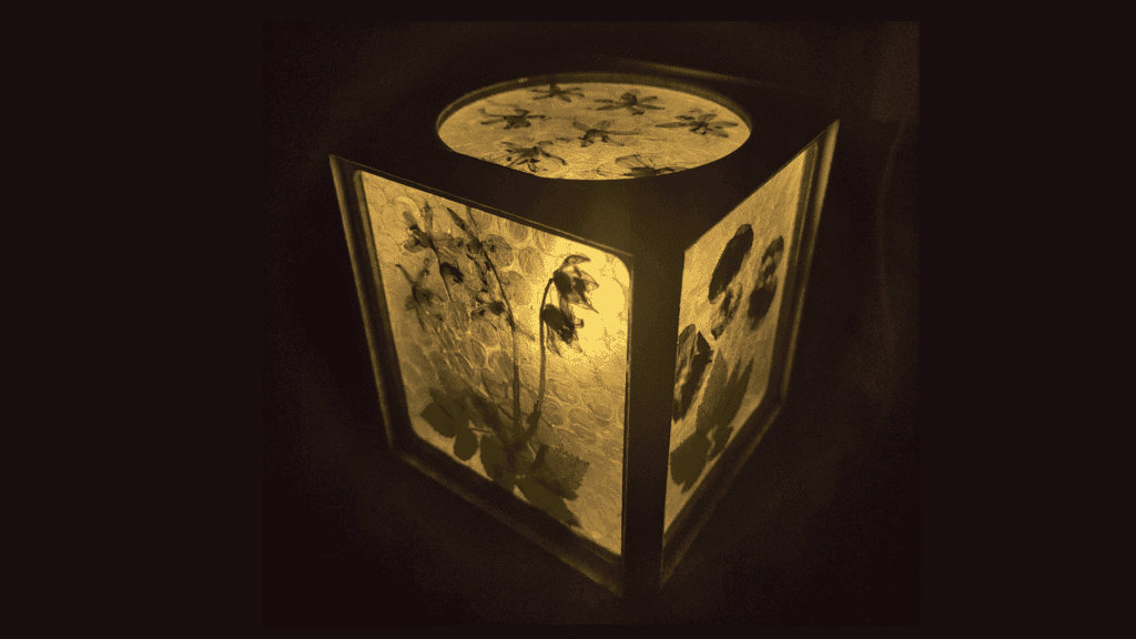 Unikalus šviestuvas